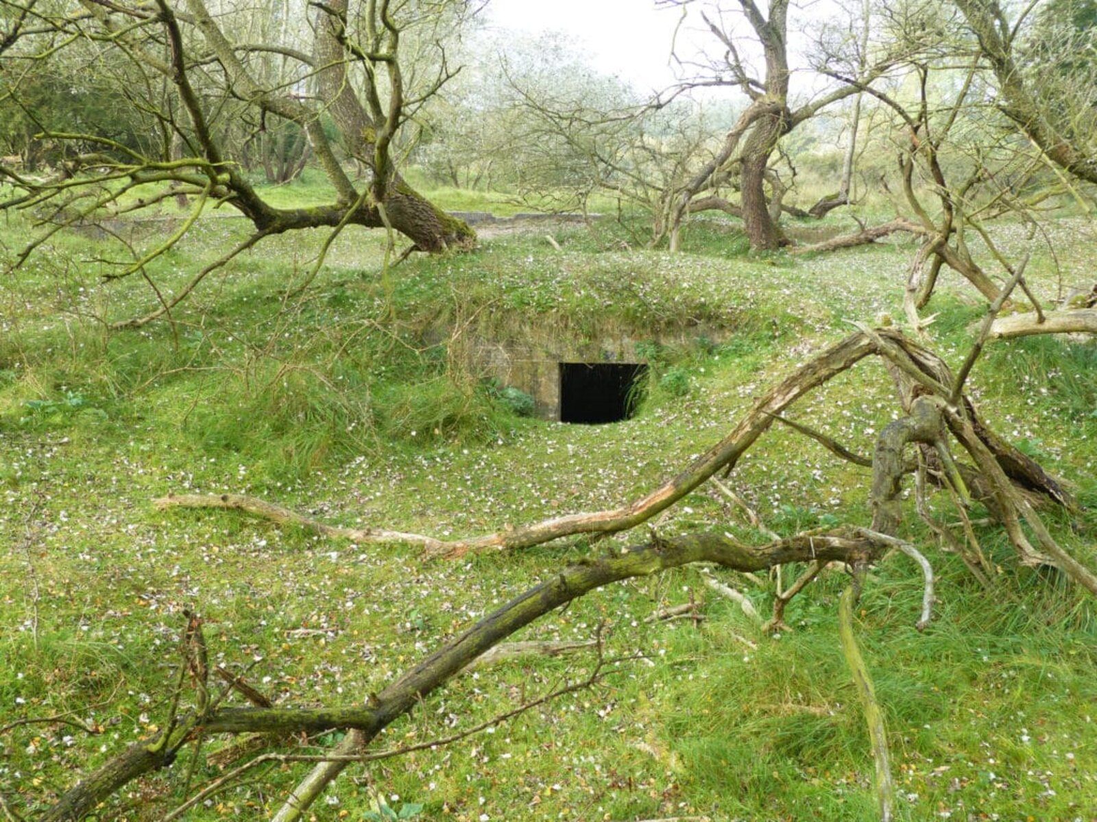 Oorlog in de duinen