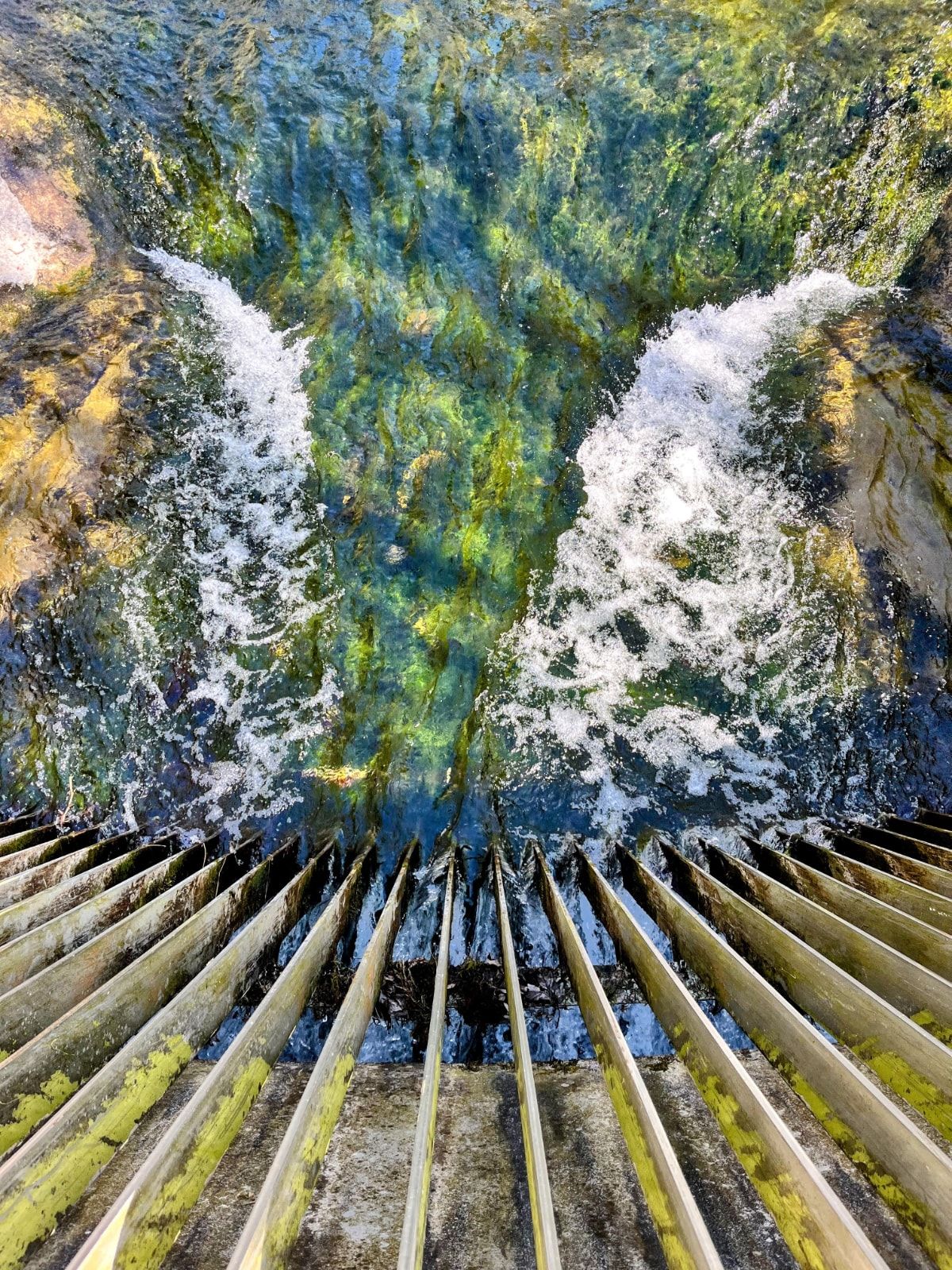 Zuurstof voor het water
